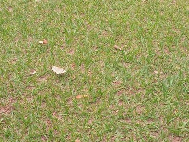 Property for sale in Kwazulu-natal