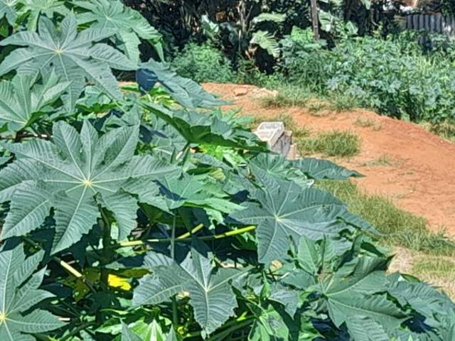 Property for sale in La Mercy, Kwazulu-natal