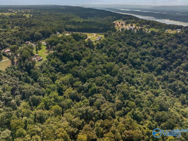 Land for sale in Dutton, Alabama