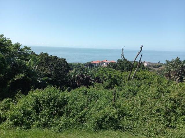 Property for sale