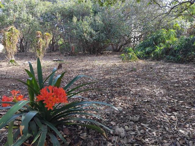 Property for sale in Groot Brak Rivier, Western Cape