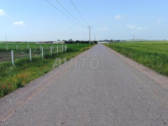 Propriété vente à Slimane, Gharb-Chrarda-Beni Hssen