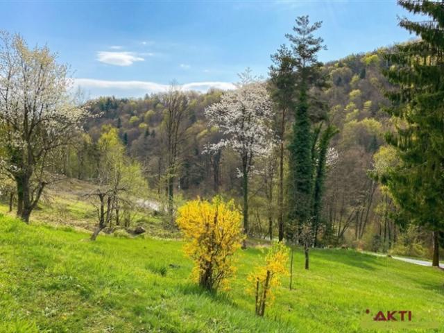 Grundstück kaufen in Gamlitz, Steiermark