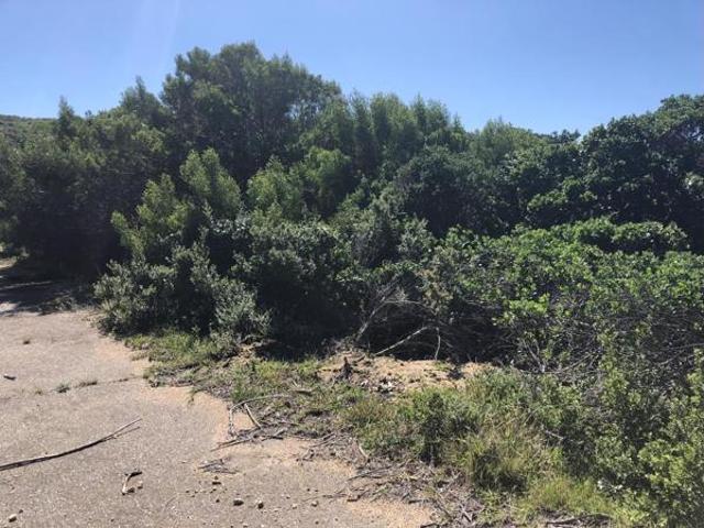 Property for sale in Bushmans River Mouth, Eastern Cape