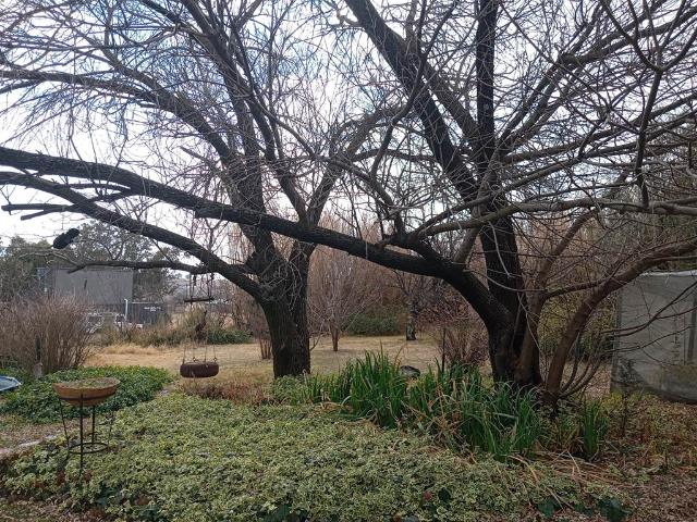 Property for sale in Rosendal, Free State