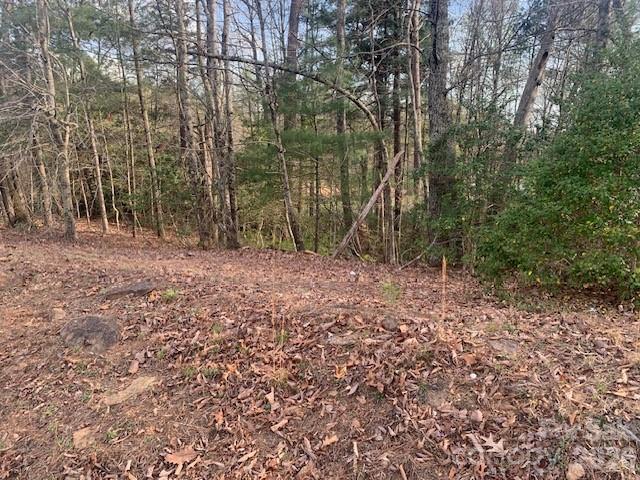 Land for sale in Saluda, North Carolina