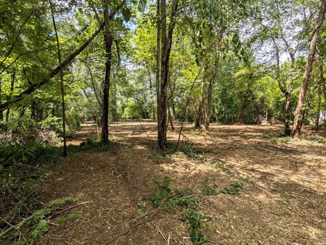 Land for sale in Warne, North Carolina