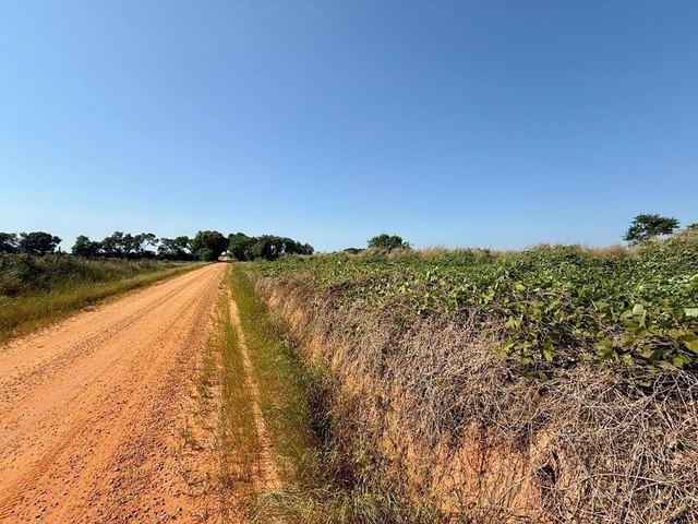 Land for sale in Dale, Alabama