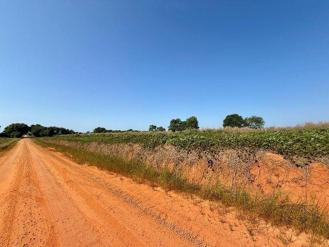 Land for sale in Dale, Alabama