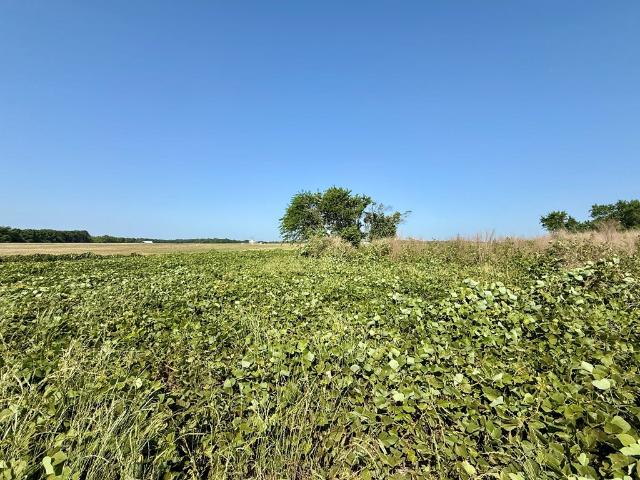 Land for sale in Newton, Alabama