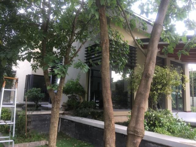 Biệt Thự cho thuê tại Hà Nội