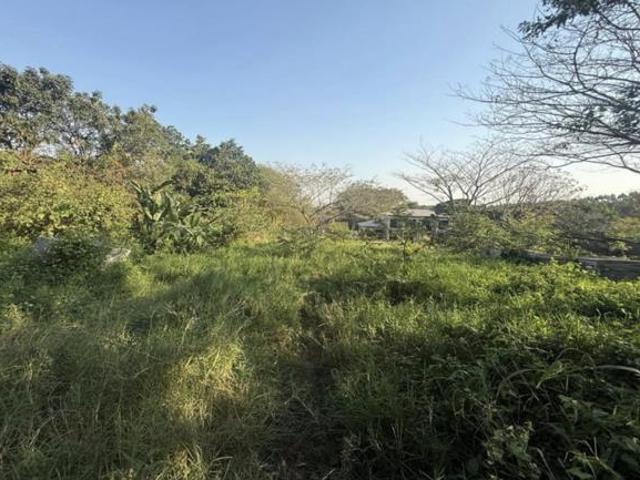 Property for sale in Mtunzini, Kwazulu-natal