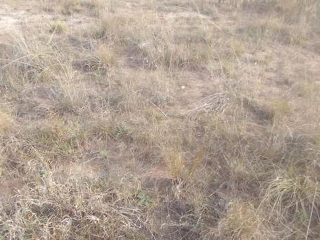 Property for sale in Amathole District Municipality, Eastern Cape