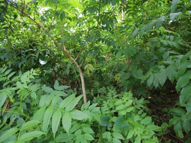 Property for sale in Ugu District Municipality, Kwazulu-natal