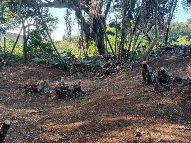 Property for sale in Ugu District Municipality, Kwazulu-natal