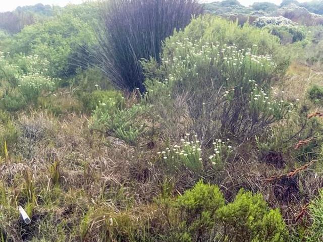 Property for sale in Cape St Francis, Eastern Cape