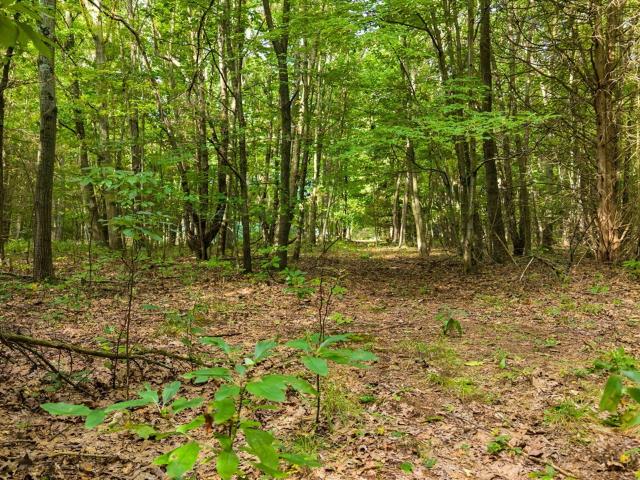 Land for sale in Casco Township, Allegan County