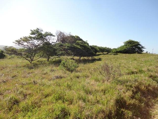 Property for sale in Amathole District Municipality, Eastern Cape