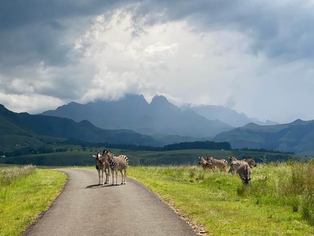 Property for sale in Drakensberg, Kwazulu-natal