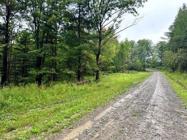 Land for sale in Richford, New York
