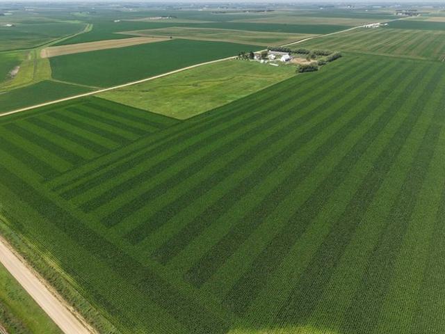 Land for sale in George, Lyon County