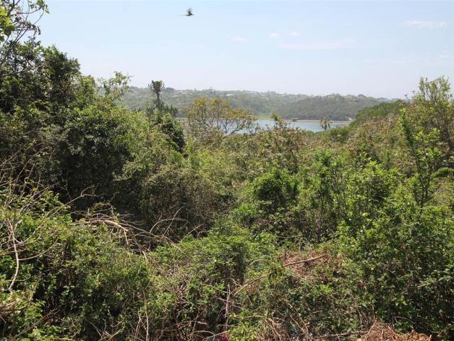 Property for sale in Bushmans River Mouth, Eastern Cape