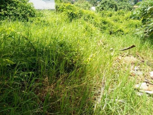 Property for rent in Mopani, Limpopo