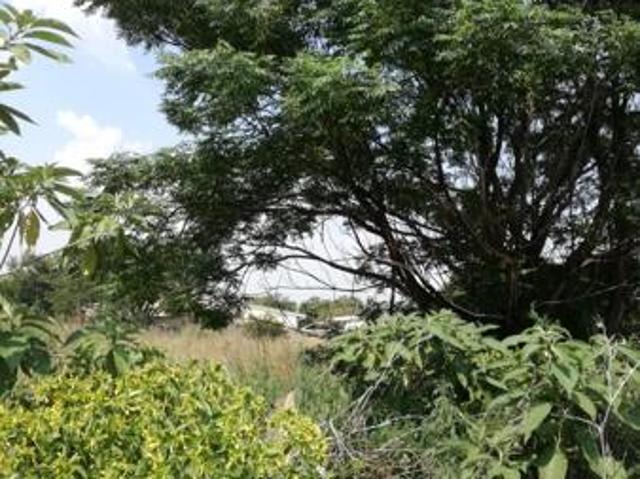 Property for sale in Oranjeville, Free State