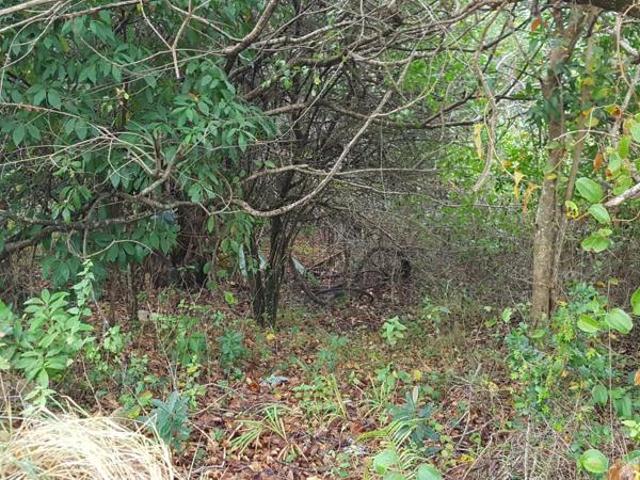 Property for sale in Hibberdene, Hibiscus Coast Local Municipality