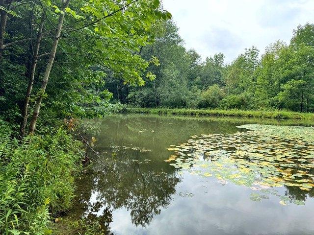 Land for sale in Richford, New York