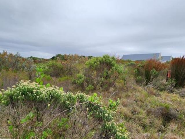 Property for sale in Cape St Francis, Eastern Cape