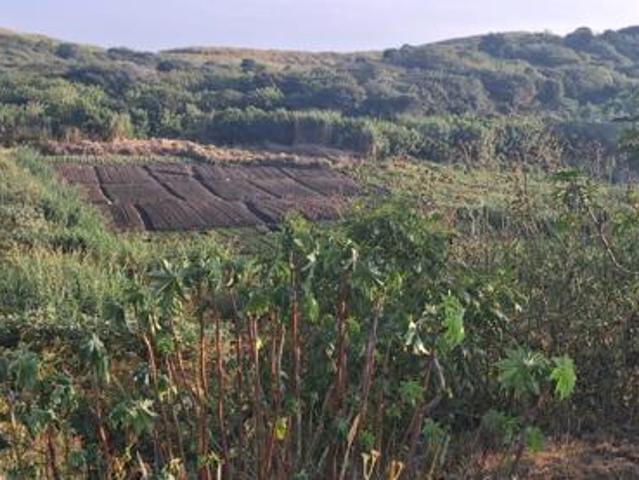 Property for sale in La Mercy, Kwazulu-natal