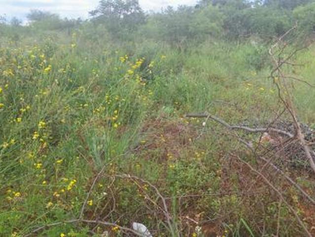 Property for sale in Potgietersrus, Limpopo