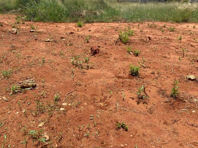 Property for sale in Potgietersrus, Limpopo