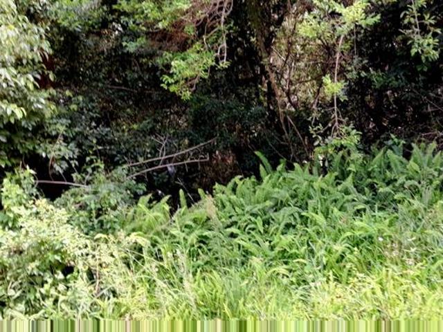 Property for sale in Port Edward, Hibiscus Coast Local Municipality