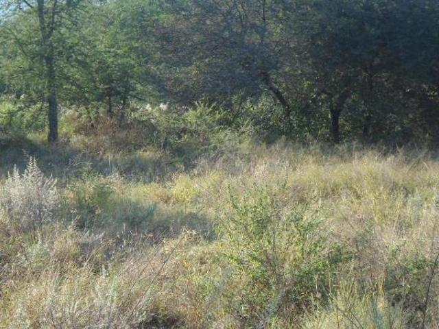 Property for sale in Greater Tubatse Municipality, Limpopo
