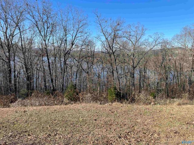 Land for sale in Scottsboro, Alabama