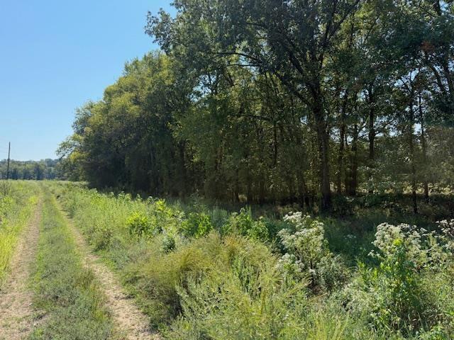 Land for sale in Tennessee