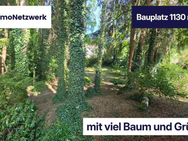 Erdgeschosswohnung kaufen in Kusel, Rheinland-Pfalz
