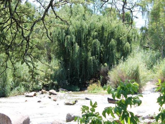 Property for sale in Koppies, Free State