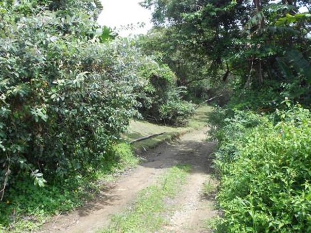 Property for sale in Southbroom, Hibiscus Coast Local Municipality