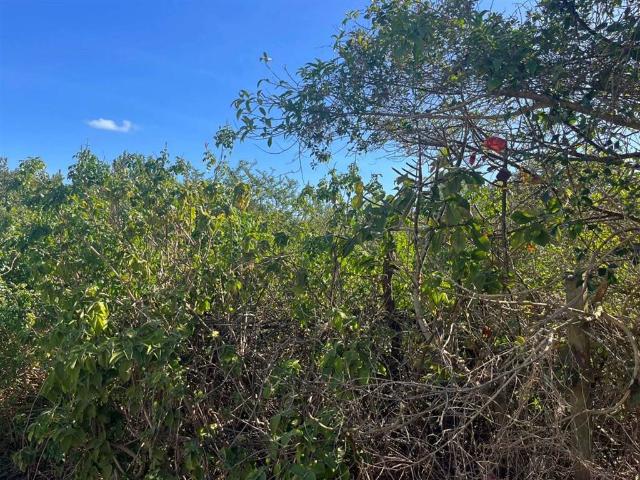 Property for sale in Bushmans River Mouth, Eastern Cape