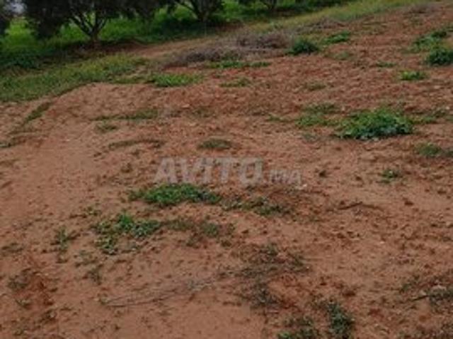 Propriété vente à Aklim