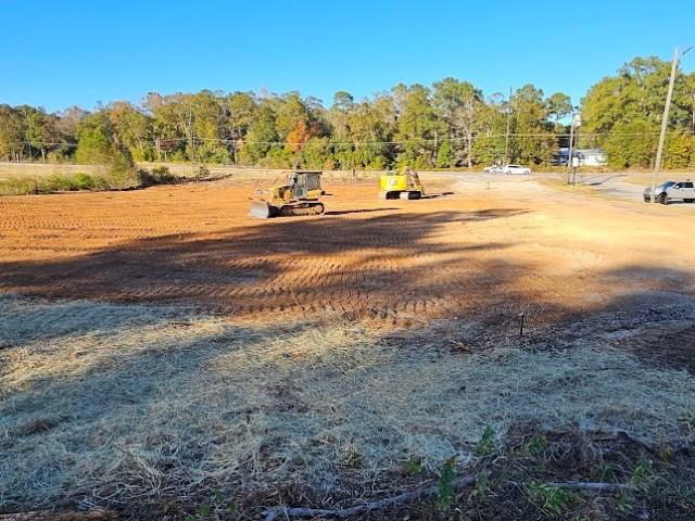 Land for sale in Dale, Alabama
