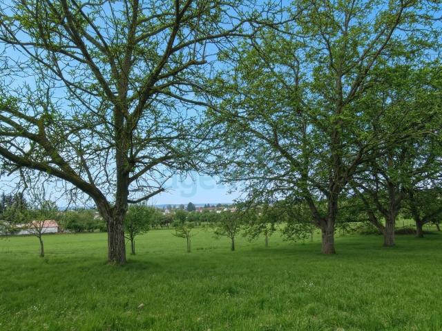 Grundstück kaufen in Neudörfl, Burgenland