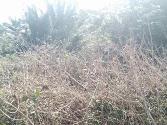 Property for sale in Ugu District Municipality, Kwazulu-natal