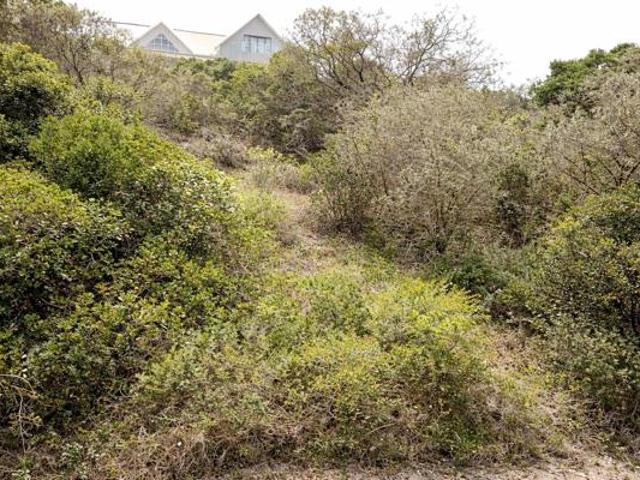 Property for sale in Bushmans River Mouth, Eastern Cape