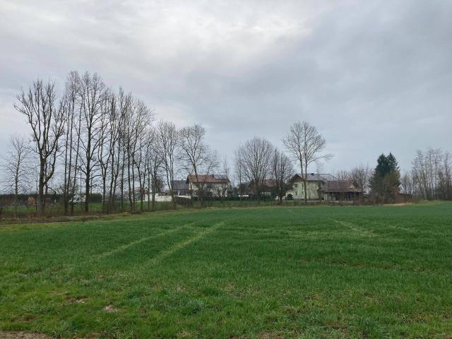 Immobilie kaufen in Taufkirchen an der Pram, Oberösterreich