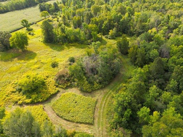 Land for sale in Ogilvie, Minnesota