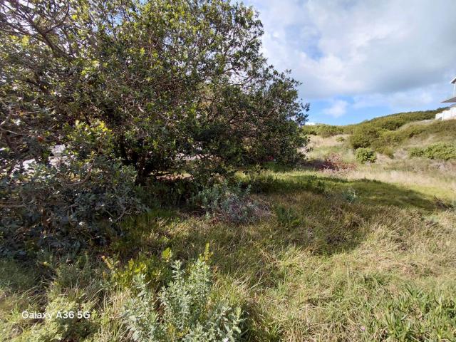 Property for sale in Cape St Francis, Eastern Cape